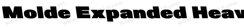 Molde Expanded Heavy字体转换